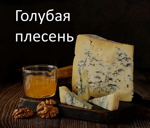 Сыры с голубой плесенью